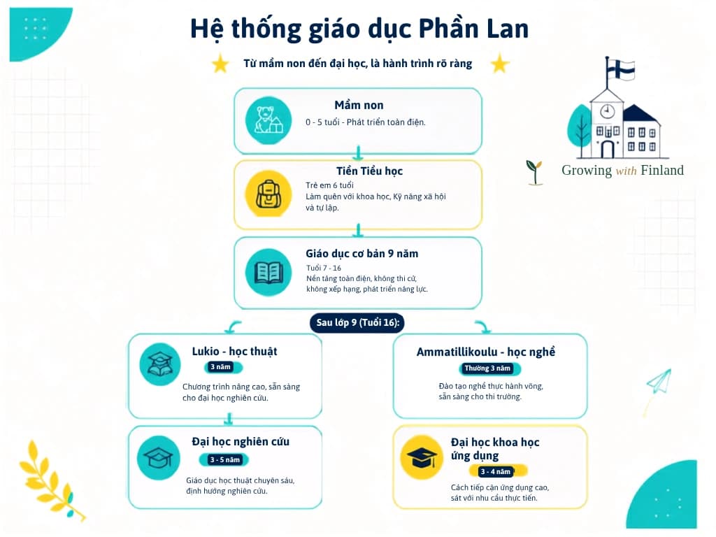 Sơ đồ hệ thống giáo dục Phần Lan từ mầm non đến đại học